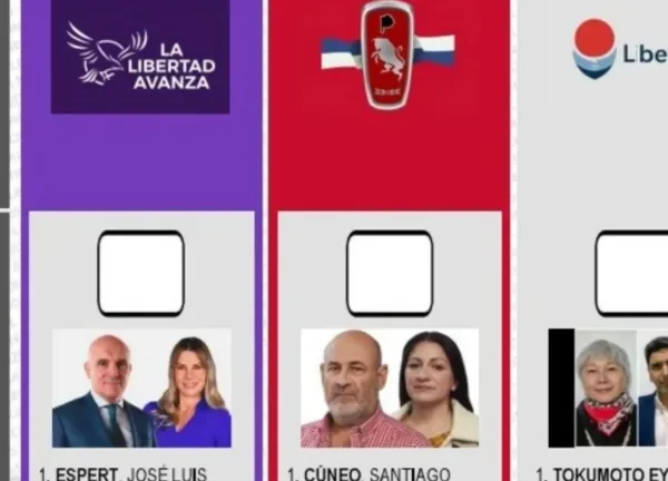 La Libertad Avanza pedirá la reimpresión de las boletas